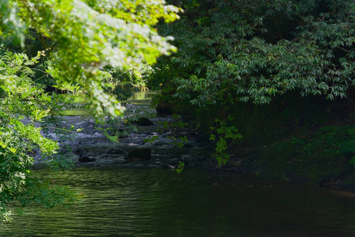 mindfulness for beginners: the no-fluff roadmap to daily calm